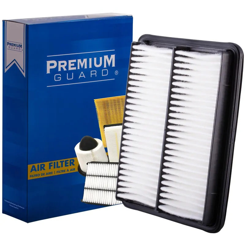 Buy Direct 2021 Chevrolet LCF 4500HD Air Filter PA5369