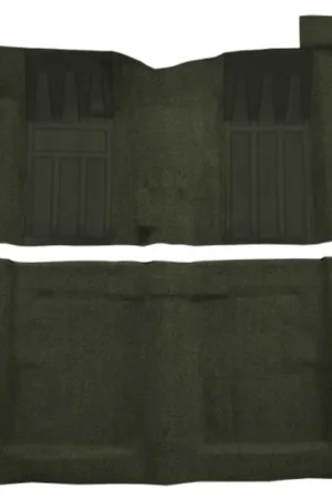 Carpet for 69 Ford Torino GT 2DR Hardtop 4spd w/2 Dark Green Inserts Loop High Quality