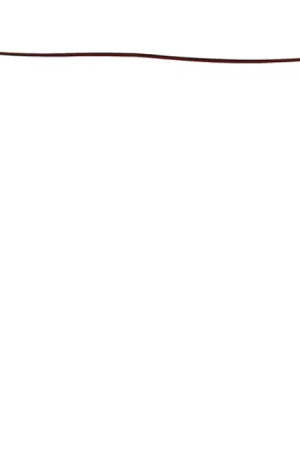 Luxury Windshield Molding for 2019-20 Toyota Corolla Windshield Precision USM F5048