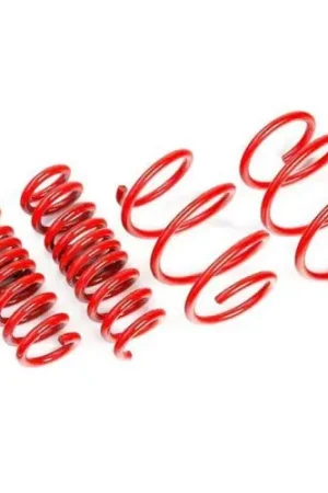 AST Suspension Lowering Springs - TESLA MODEL 3 LONG RANGE Performance AWD Secure Checkout