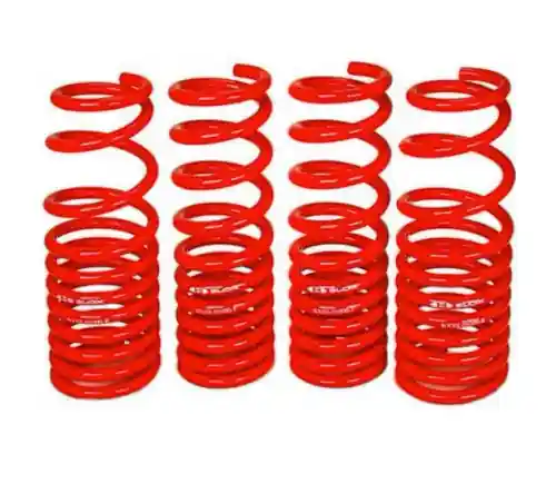Modern BLOX Racing Lowering Springs Tesla Model 3 Long Range RWD