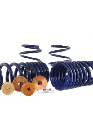Best Price Ford Racing 2015-2023 Mustang GT / 2.3L EcoBoost Fastback Track Lowering Spring Kit (Excl MagneRide Susp)