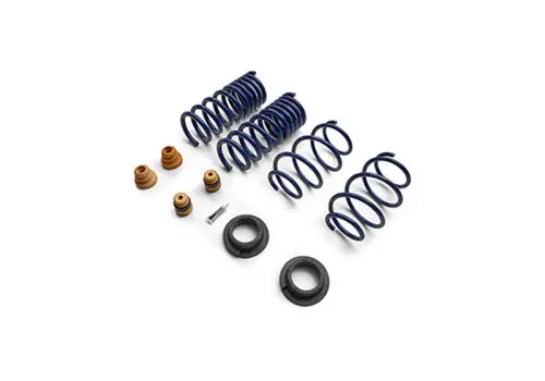 Get Yours Ford Racing 2015-2025 Mustang Street Lowering Spring Kit