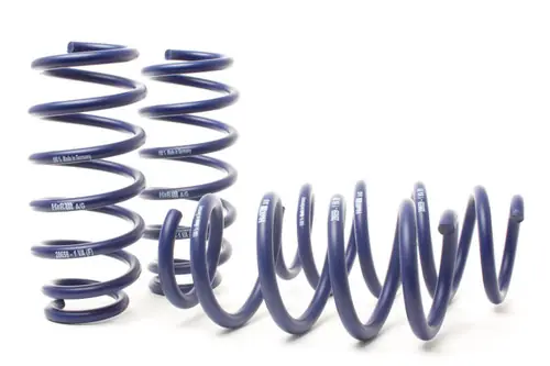 H&R 2018-2024 Tesla Model 3 AWD Performance Sport Springs - 28659-1 Hot Picks