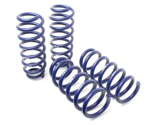 H&R 2020-2024 Tesla Model Y Performance (AWD) Lift Spring (Non Air Susp.) Brand New