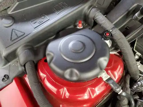 JLT 15-20 Ford Mustang GT350/GT500/GT Black Textured Strut Covers (Pair) Mega Sale