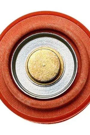 Radium Engineering Diaphragm Service Replacement FPD Big Sale