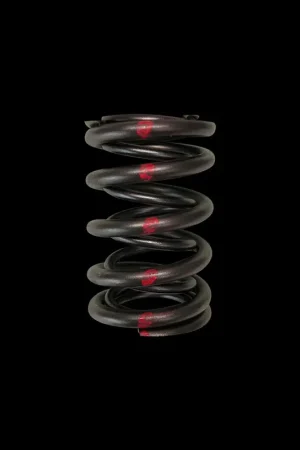 Brian Crower Brian Crower Honda H22/Nissan SR20VE Dual Valve Spring - Single Discount