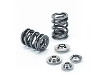 Supertech Nissan SR20VE P12 2.0L DOHC Dual Valve Spring Kit Bargain
