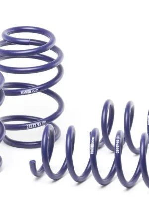 Direct From Factory H&R Sport Lowering Springs (Focus RS 2016+)