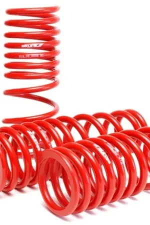 Skunk2 Racing Skunk2 96-00 Honda Civic Lowering Springs (2.50in - 2.25in.) (Set of 4) Sale