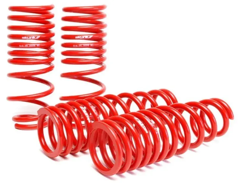 Skunk2 Racing Skunk2 96-00 Honda Civic Lowering Springs (2.50in - 2.25in.) (Set of 4) Sale