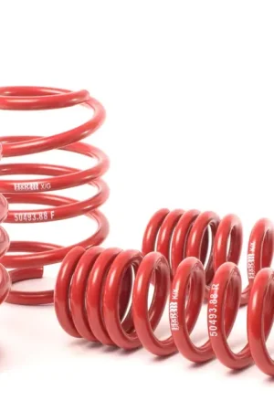 H&R H&R 08-13 BMW M3 Coupe/M3 Sedan E92 Race Spring Instant Buy