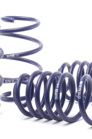 H&R H&R 16-21 BMW X1 xDrive28i (AWD) F48 Sport Spring (Incl. M Sport Susp.) Deal