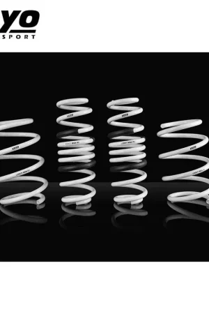 Leyo Motorsport Lowering Springs (Golf R MK7/7.5 14-20) Buy Direct