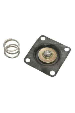 Aeroflow Fuel Pressure Regulator Diaphragm & Spring (AF49-4500/4501) Free Delivery