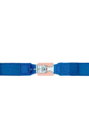 Today Only Simpson Racing Latch & Link Seatbelt - Latch & Link - Lap Belt - 55" - Floor Mount - Pull Down