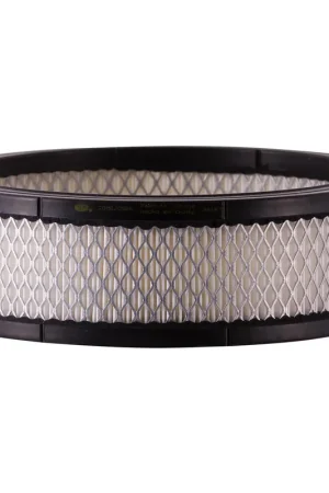 Buy Direct 1977 Chevrolet C60Air FilterPA50