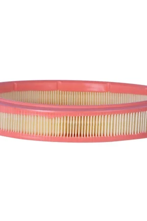 2002 Hyundai AccentAir FilterPA5247 Time-Limited